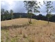 Mooral Creek NSW 2429