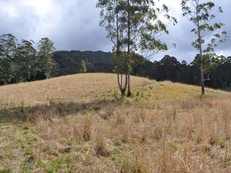 Mooral Creek NSW 2429
