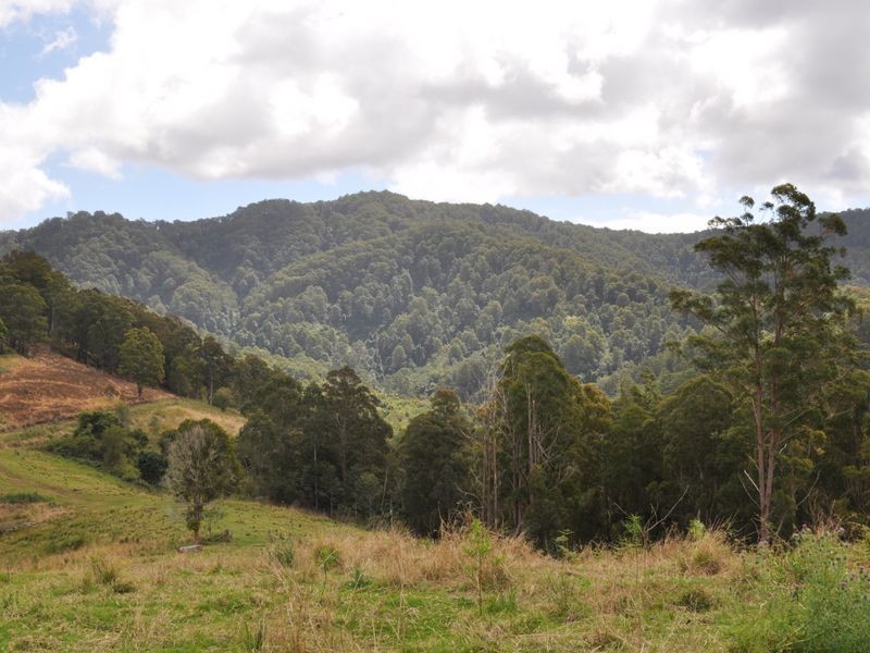 Mooral Creek NSW 2429