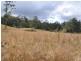 Mooral Creek NSW 2429