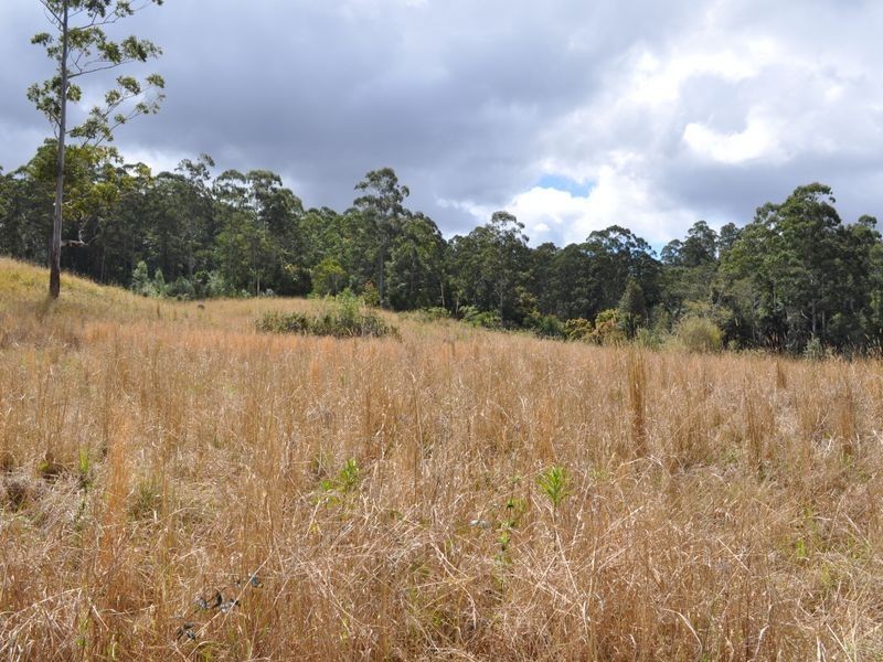 Mooral Creek NSW 2429
