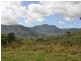 Mooral Creek NSW 2429