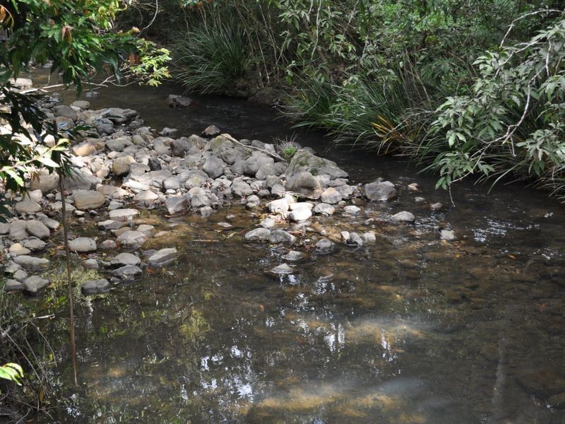 Mooral Creek NSW 2429