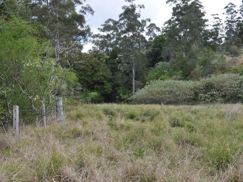 Mooral Creek NSW 2429