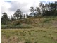 Mooral Creek NSW 2429
