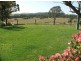 Burrell Creek NSW 2429