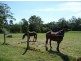 Hannam Vale NSW 2443
