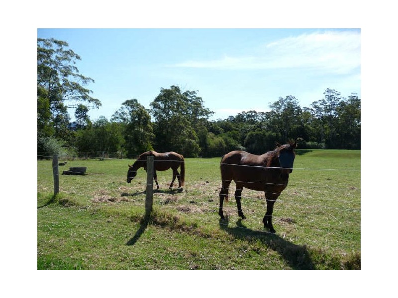 Hannam Vale NSW 2443