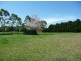 Hannam Vale NSW 2443