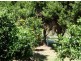 Hannam Vale NSW 2443