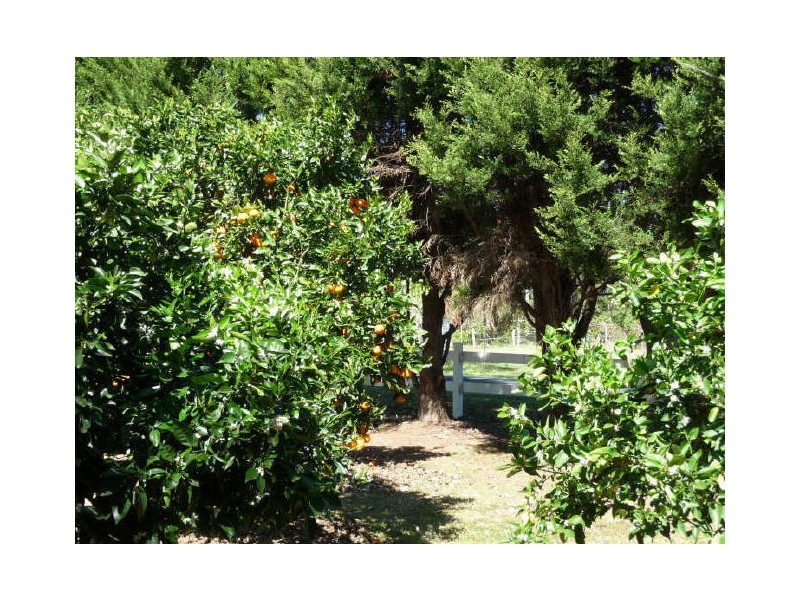 Hannam Vale NSW 2443