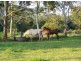 Hannam Vale NSW 2443