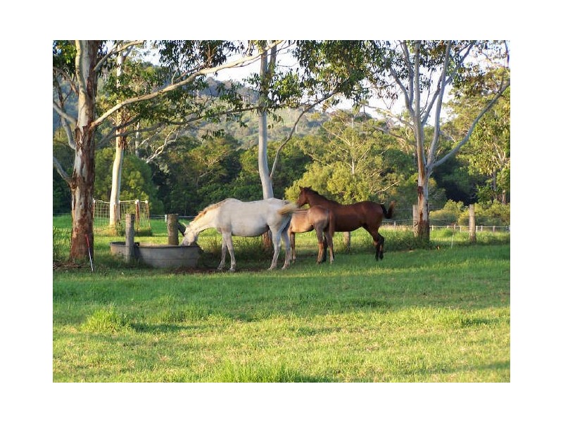 Hannam Vale NSW 2443