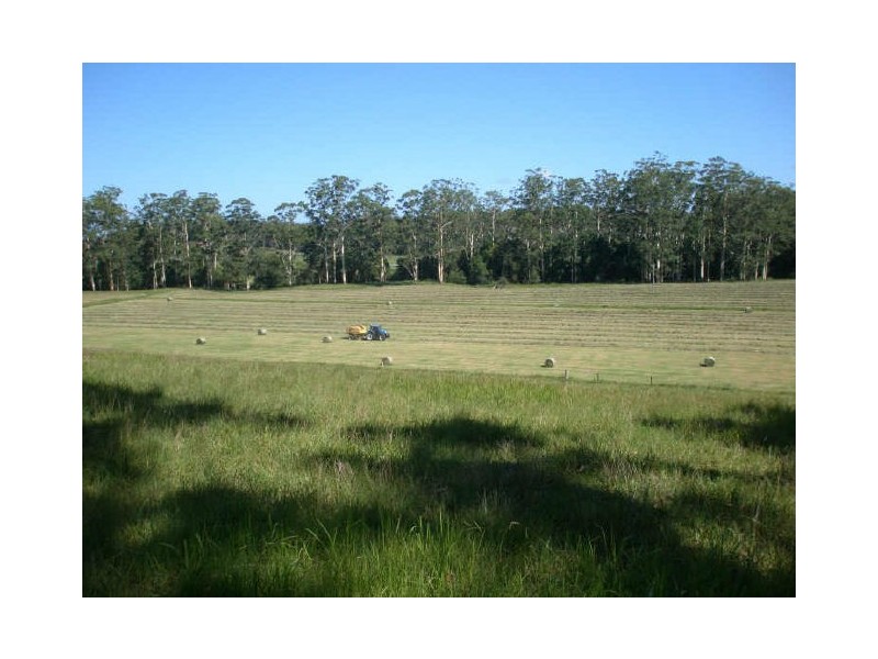 Moorland NSW 2443