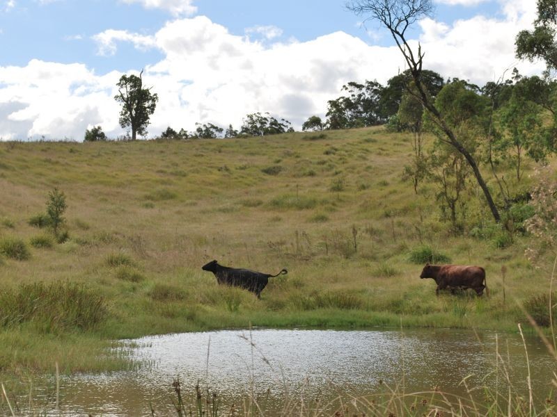 Cooplacurripa NSW 2424