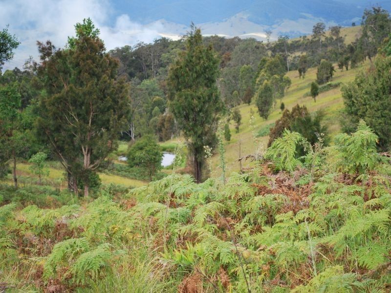 Cooplacurripa NSW 2424