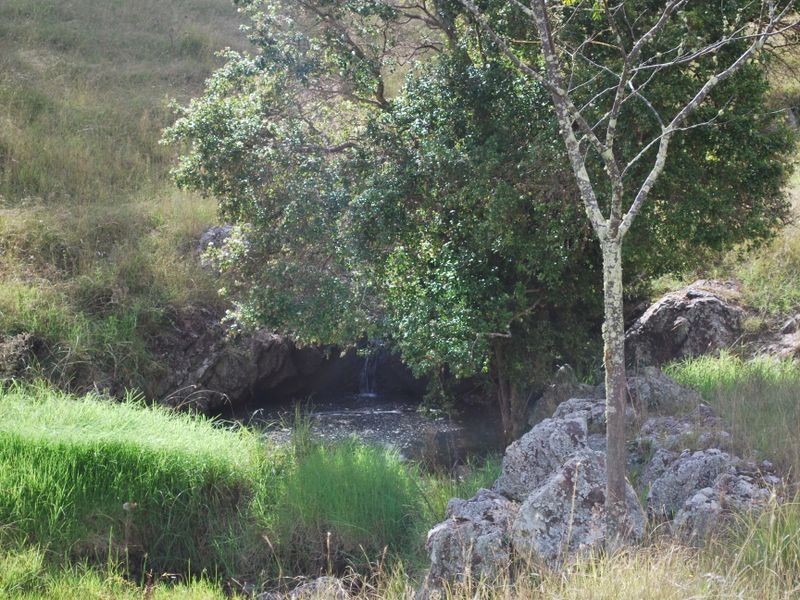 Cooplacurripa NSW 2424