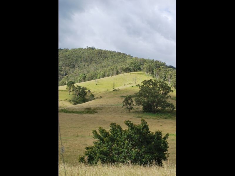 Cooplacurripa NSW 2424