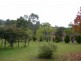 115 Marchfield Road, Wingham NSW 2429