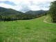 Killabakh NSW 2429