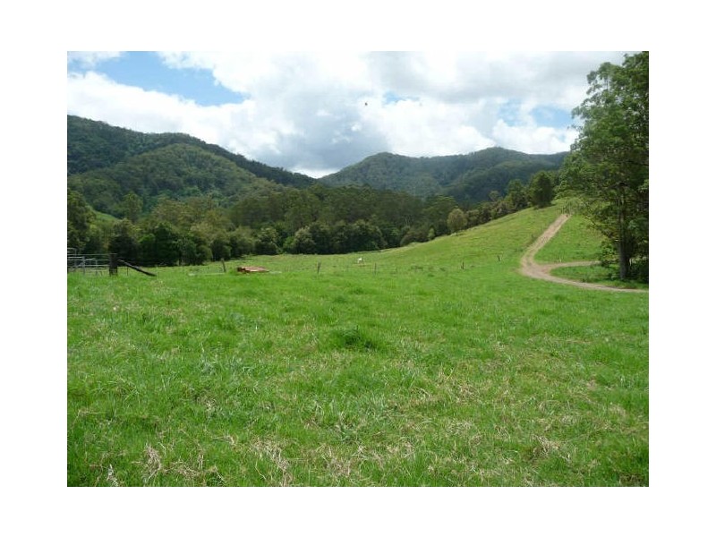 Killabakh NSW 2429