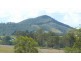 Wingham NSW 2429