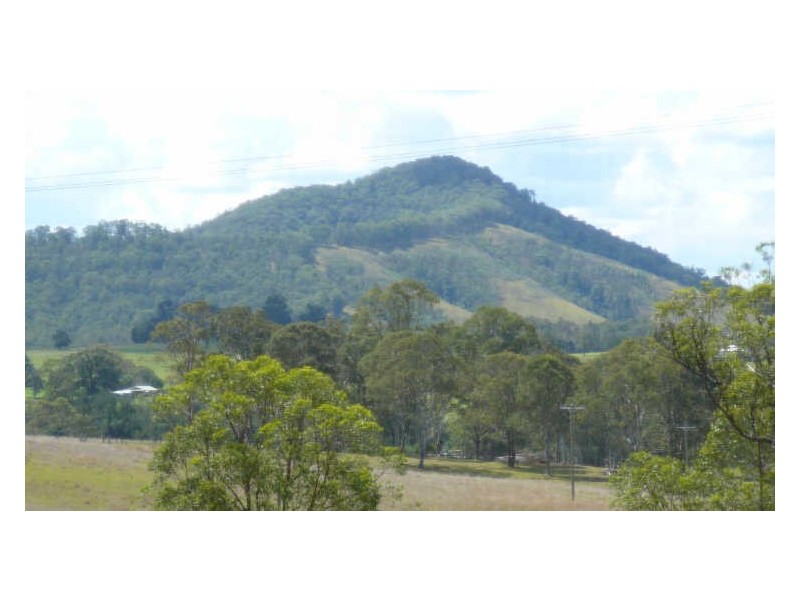 Wingham NSW 2429