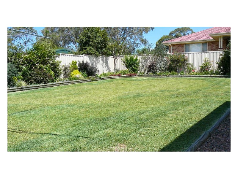 Wingham NSW 2429