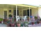 Wingham NSW 2429