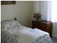 Wingham NSW 2429