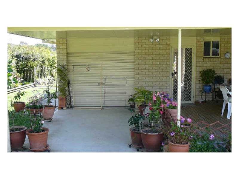 Wingham NSW 2429