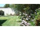 Wingham NSW 2429