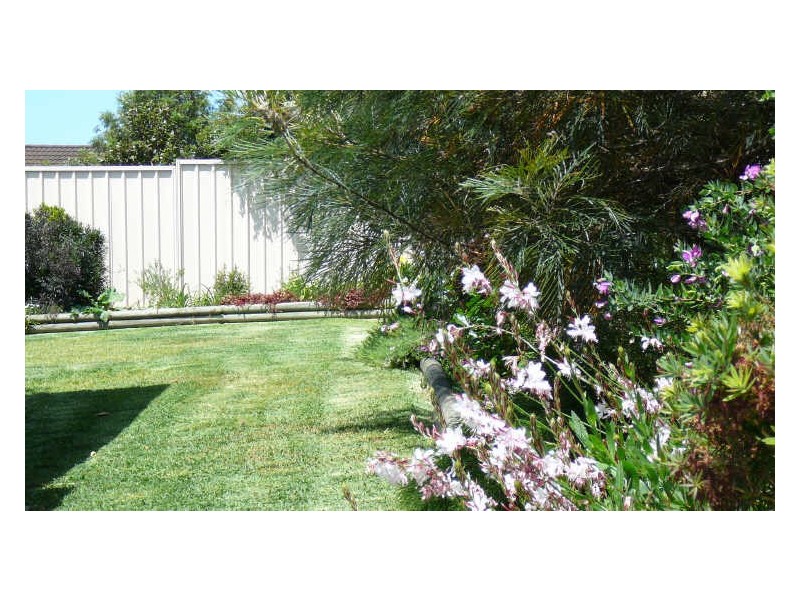 Wingham NSW 2429