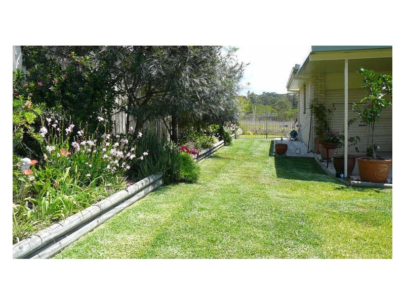 Wingham NSW 2429
