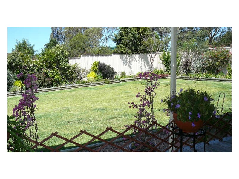 Wingham NSW 2429