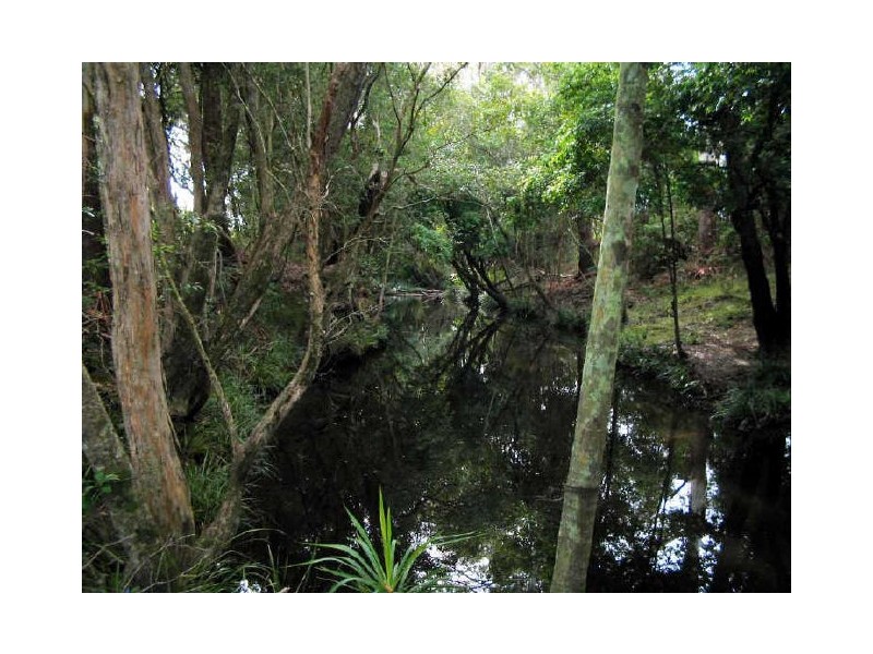 Johns River NSW 2443