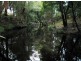 Johns River NSW 2443