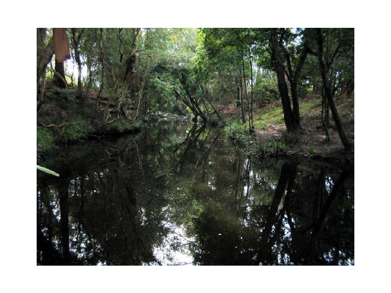 Johns River NSW 2443