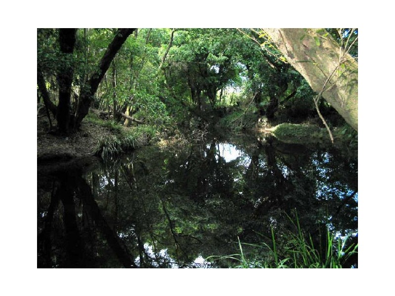 Johns River NSW 2443