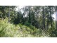 Johns River NSW 2443