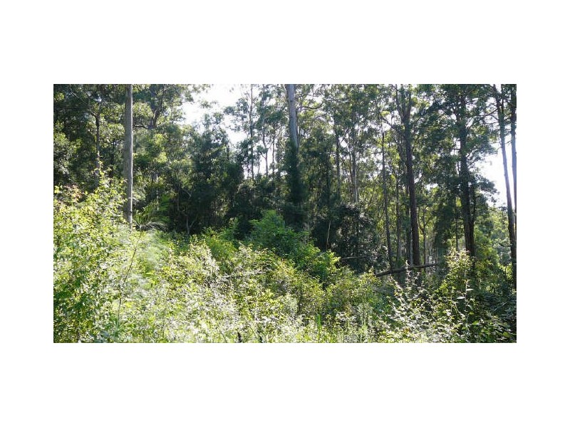 Johns River NSW 2443