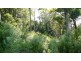 Johns River NSW 2443