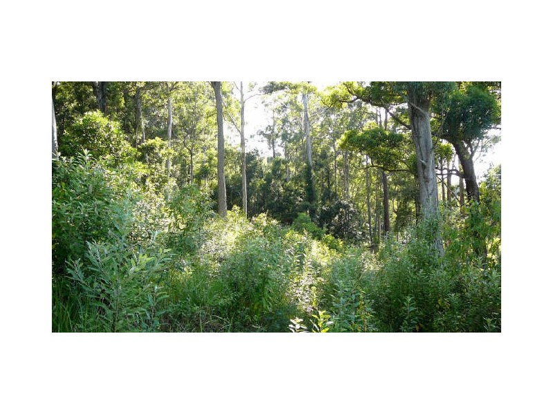 Johns River NSW 2443