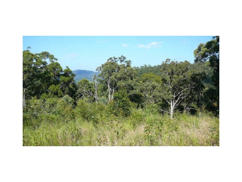 Johns River NSW 2443