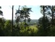 Johns River NSW 2443