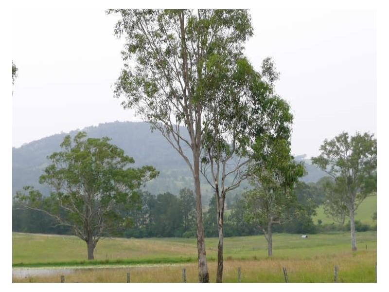 Wherrol Flat NSW 2429