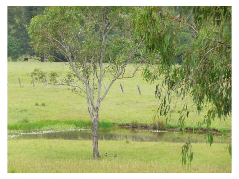 Wherrol Flat NSW 2429