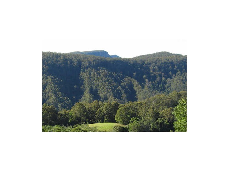Comboyne NSW 2429