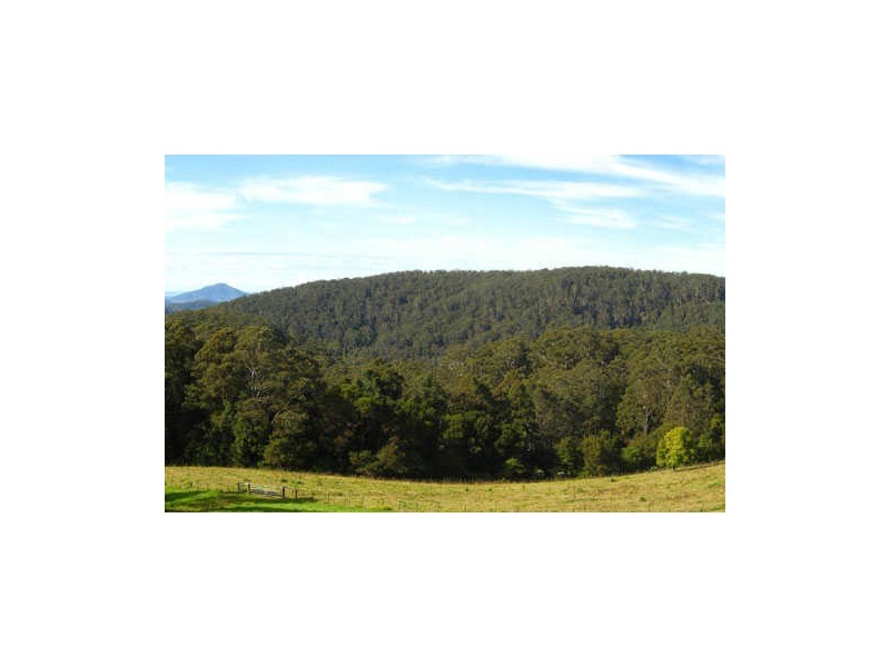 Comboyne NSW 2429