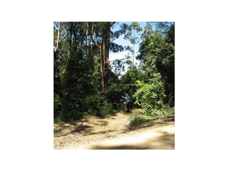Comboyne NSW 2429